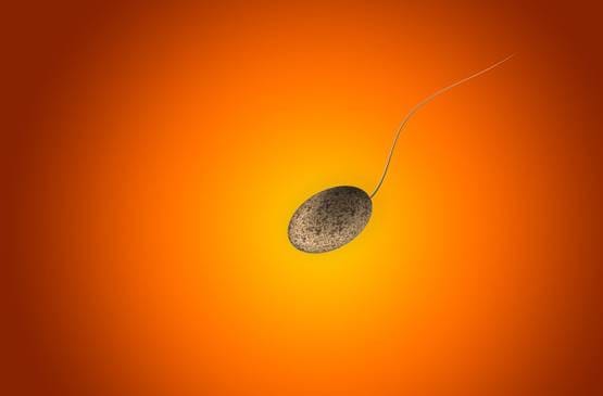 पुरुषों की फर्टिलिटी बढ़ाने में मददगार है ये डाइट, स्टडी में खुलासा