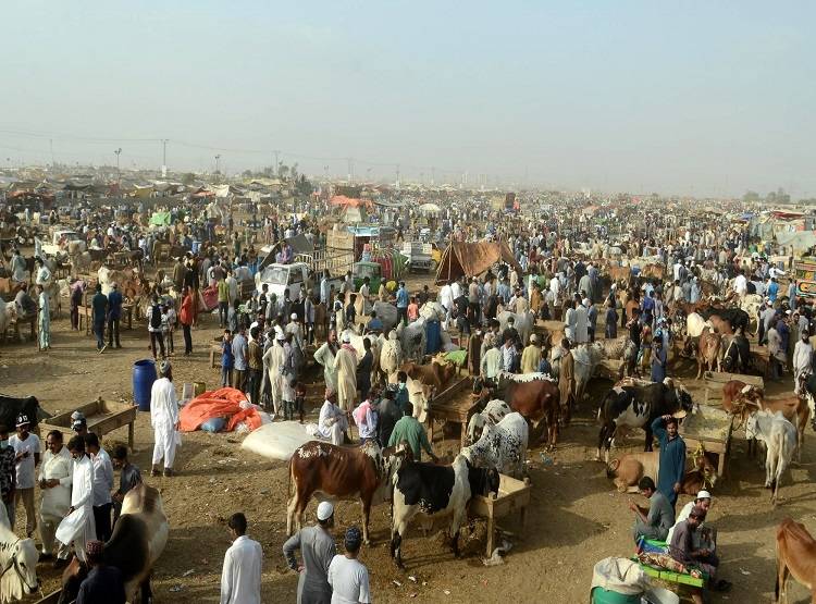 PAK में बिलावल की इमरान को धमकी, कहा- सरकार पूरा नहीं कर पाएगी कार्यकाल