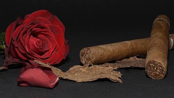 सेक्स ड्राइव बढ़ाने के लिए महिलाएं कर रहीं खतरनाक प्रयोग, डॉक्टरों ने दी चेतावनी