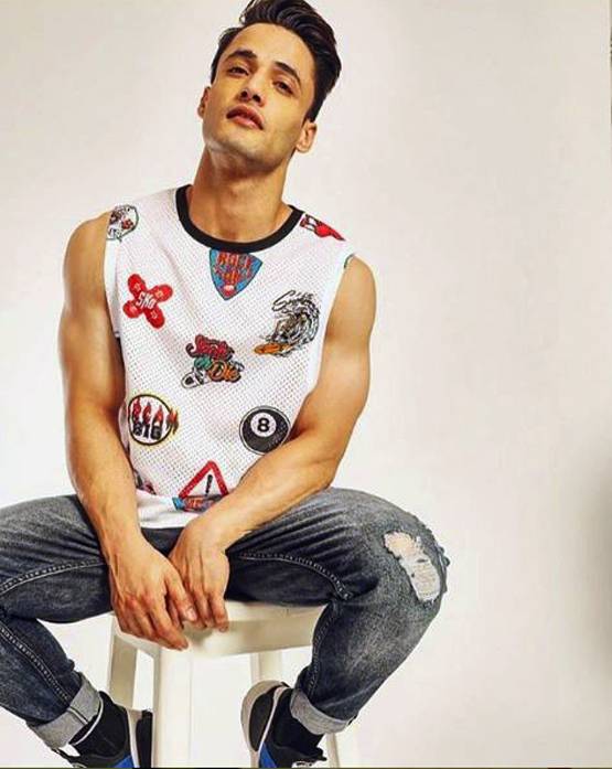 बिग बॉस: असीम के करियर को मिली उड़ान, सनी लियोनी संग फिल्म में करेंगे काम!