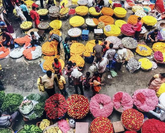 पुस्तक समीक्षा: फूलों से महकती भारतीय संस्कृति की कहानी है ‘फ्लावर शॉवर’