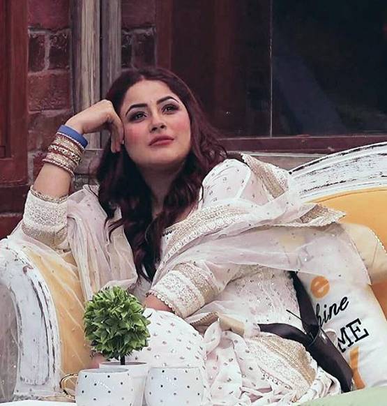 रोडीज में हुईं रिजेक्ट, बिग बॉस से पहले ही पारस को दिल दे बैठी थीं शहनाज?