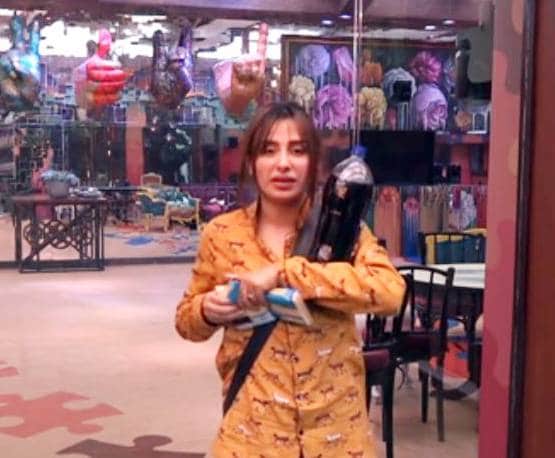 माहिरा की मां ने लगाई पारस की क्लास, कहा- मेरी बेटी को KISS मत करो