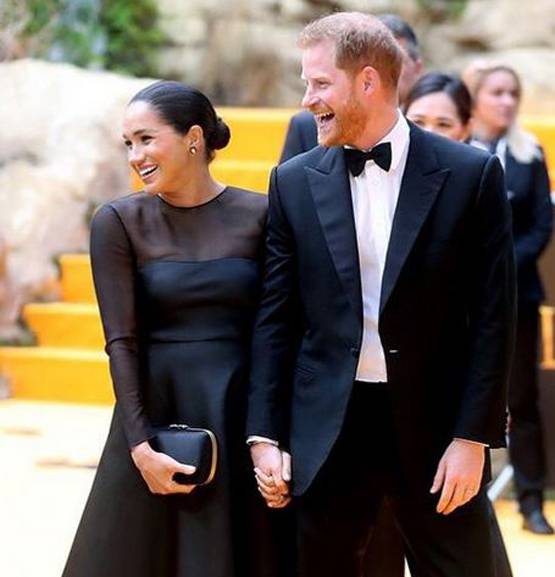 प्रिंस हैरी और मेगन ने छोड़ी रॉयल फैमिली, अब नहीं मिलेंगे ये फायदे