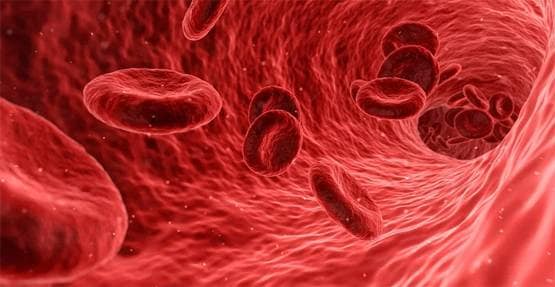 पुरुषों की फर्टिलिटी बढ़ाने में मददगार है ये डाइट, स्टडी में खुलासा