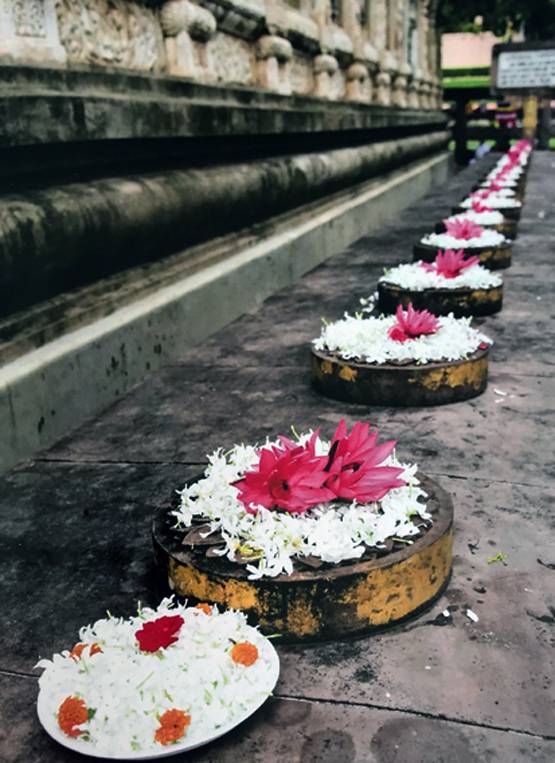 पुस्तक समीक्षा: फूलों से महकती भारतीय संस्कृति की कहानी है ‘फ्लावर शॉवर’
