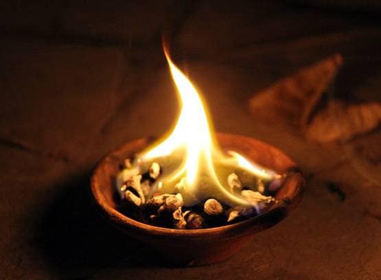 Basant Panchami पर नहीं करने चाहिए ये काम, मां सरस्वती हो जाएंगी नाराज