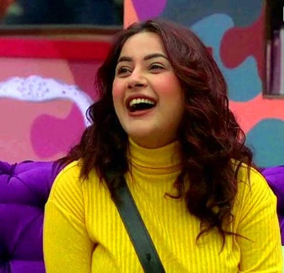 रोडीज में हुईं रिजेक्ट, बिग बॉस से पहले ही पारस को दिल दे बैठी थीं शहनाज?