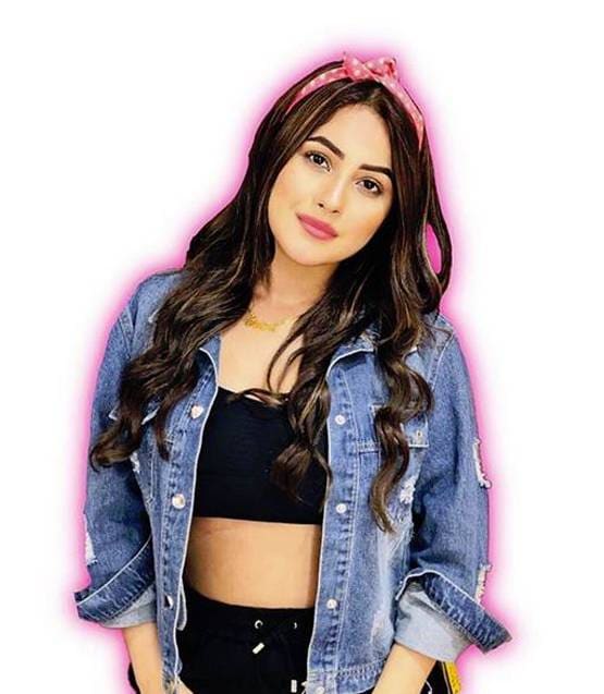 बिग बॉस: फैमिली वीक में लगेगी क्लास, जानें, किससे मिलने कौन आएगा?