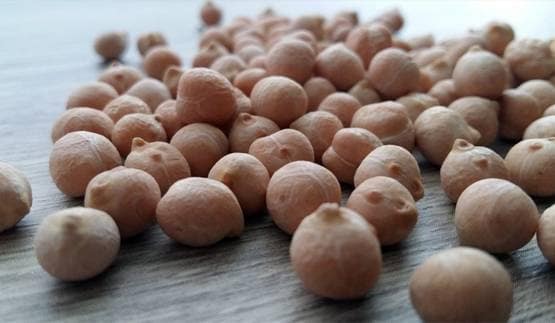 ज्यादा प्रोटीन लेने पर बढ़ता है कैंसर का खतरा, बरतें सावधानी