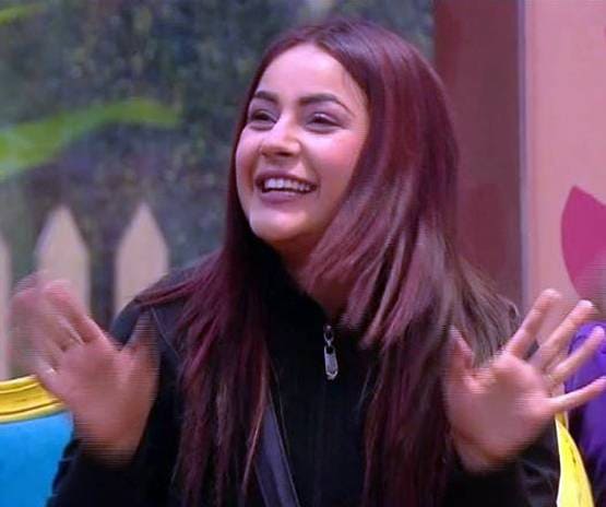 Bigg Boss: क्यों अलग हुए सिद्धार्थ-शहनाज, पिता ने बताई ये वजह