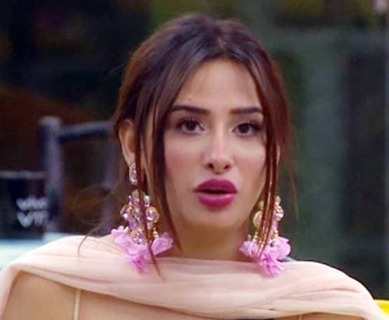 एलीट क्लब का मेंबर बनने के लिए लंबे बालों की कुर्बानी देंगी आरती सिंह?