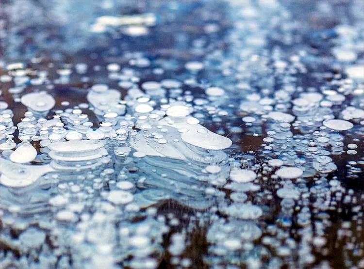 देखिए...इस झील में जम गए गैस के बुलबुले, तस्वीरें हो रहीं वायरल