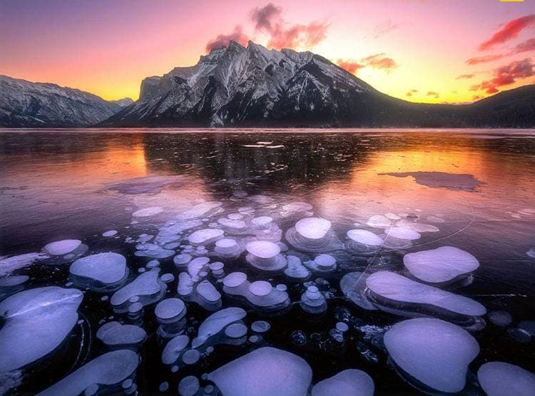 देखिए...इस झील में जम गए गैस के बुलबुले, तस्वीरें हो रहीं वायरल