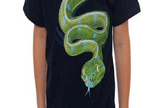 बच्चे की टी-शर्ट पर अजगर, एयरपोर्ट पर देख अधिकारियों के उड़े होश