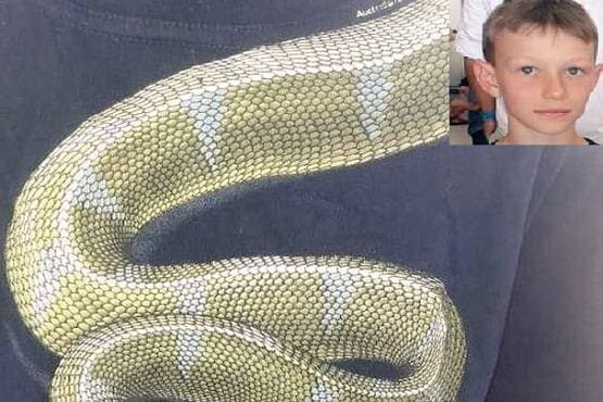 बच्चे की टी-शर्ट पर अजगर, एयरपोर्ट पर देख अधिकारियों के उड़े होश