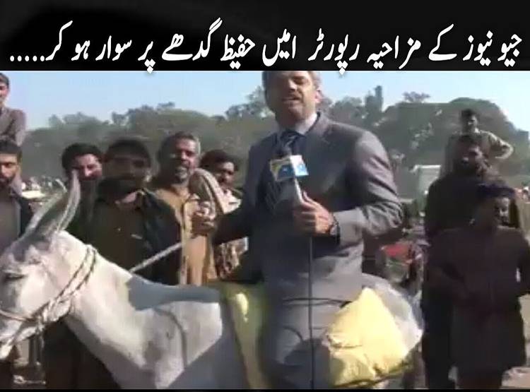 शहंशाह बना रिपोर्टर, शाही अंदाज में शूट, PAK के इस वीडियो पर लोग लोटपोट