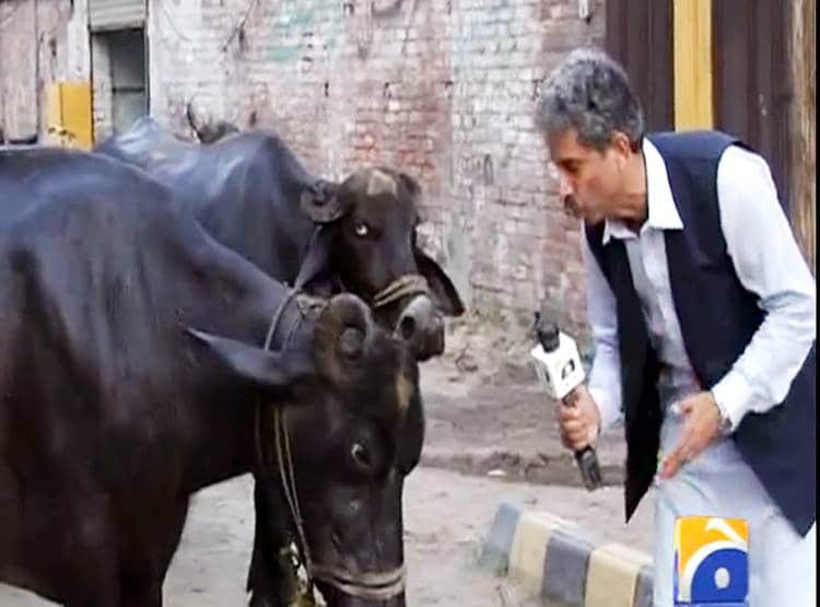 शहंशाह बना रिपोर्टर, शाही अंदाज में शूट, PAK के इस वीडियो पर लोग लोटपोट