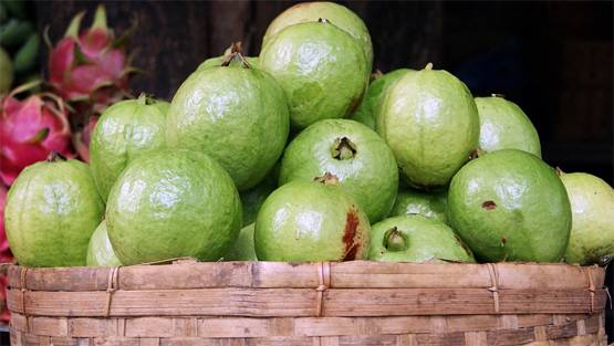 अपनी डाइट में शामिल करें ये 20 चीजें, पूरे साल रहेंगे फिट