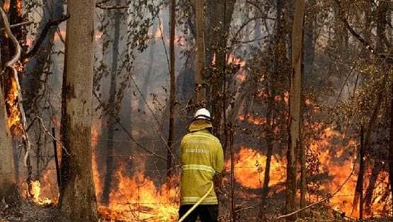 अमेरिका-ईरान में जंग, क्या सच होगी नास्त्रेदमस की भविष्यवाणी?