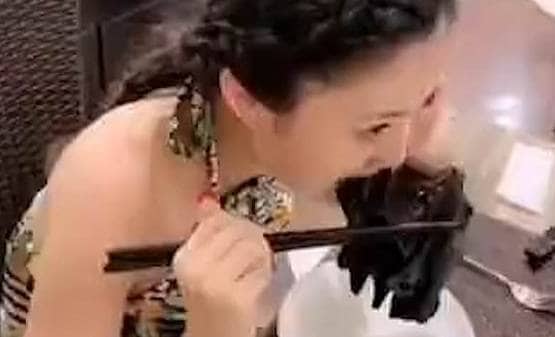 चमगादड़ खाकर लड़की ने दुनिया में फैलाया कोरोना वायरस? क्या है सच्चाई..