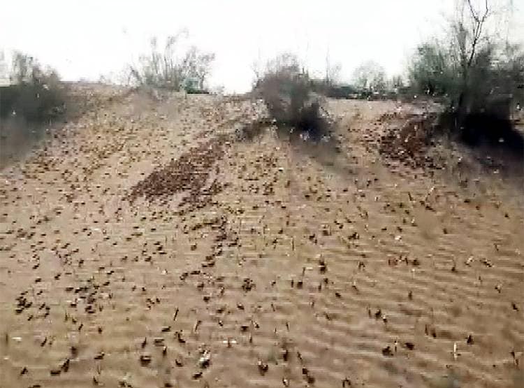 PAK से आई आसमानी आफत, राजस्थान के इस जिले में मचा हड़कंप