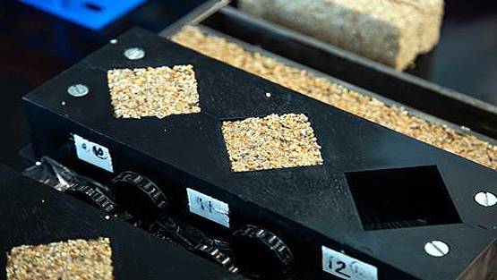 वैज्ञानिकों ने बनाया 'जिंदा कॉन्क्रीट', यह खुद ही भर देगा दीवारों की दरारें