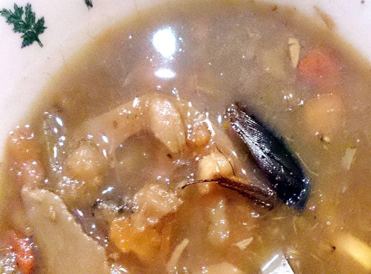 इस देश के लोग पीते हैं कॉक्रोच सूप, बनती है दवा, रहते हैं स्वस्थ