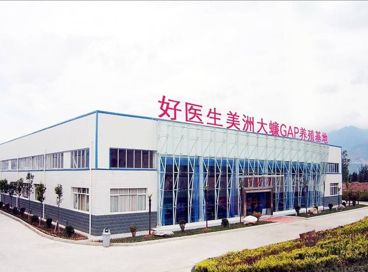 इस देश के लोग पीते हैं कॉक्रोच सूप, बनती है दवा, रहते हैं स्वस्थ