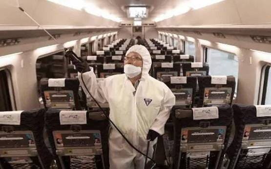 चमगादड़ खाकर लड़की ने दुनिया में फैलाया कोरोना वायरस? क्या है सच्चाई..