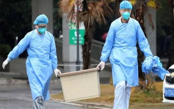 चमगादड़ खाकर लड़की ने दुनिया में फैलाया कोरोना वायरस? क्या है सच्चाई..