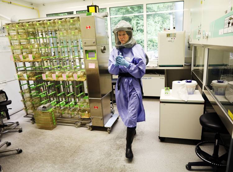 सावधान...चीन में फैला जानलेवा वायरस, जद में आ रही है दुनिया