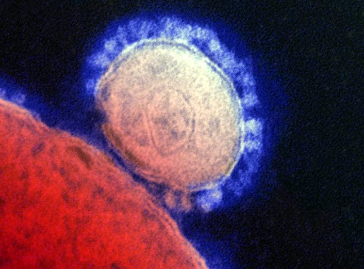क्या है Coronavirus? सऊदी के बाद चीन में हाहाकार, जानिए कितना खतरनाक