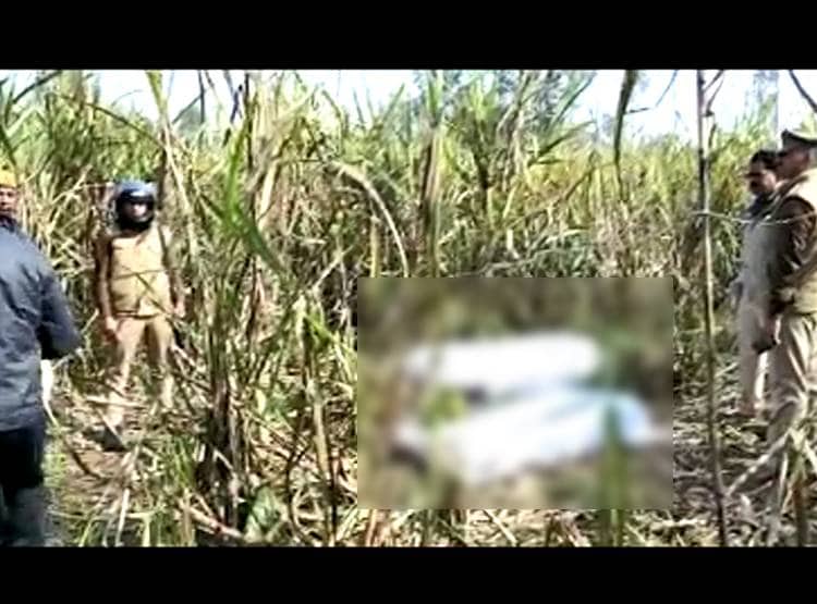 दोस्तों ने पत्नी पर क‍िए अश्लील कमेंट, पत‍ि ने फावड़े से कर डाले टुकड़े