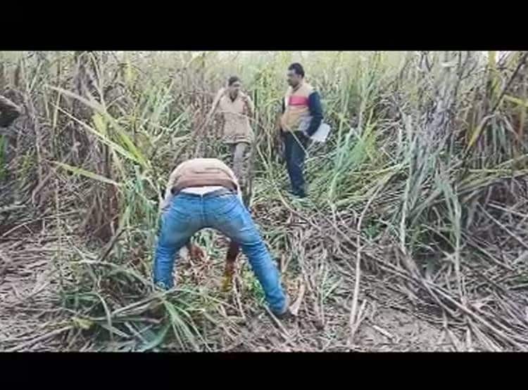 दोस्तों ने पत्नी पर क‍िए अश्लील कमेंट, पत‍ि ने फावड़े से कर डाले टुकड़े