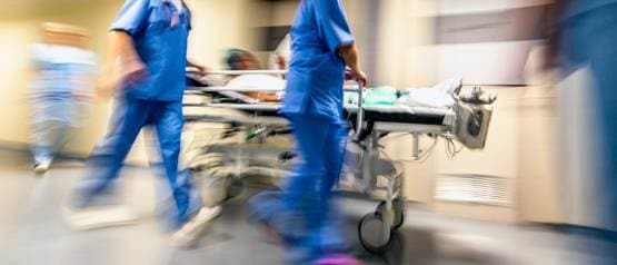 युवक ने खाई सांड की सेक्स पावर बढ़ाने वाली दवा, फिर जो हुआ...