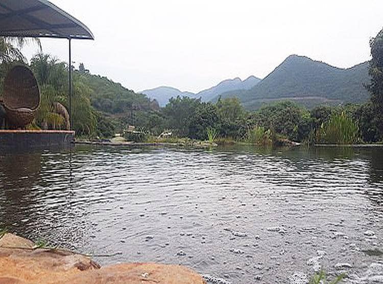 गर्लफ्रेंड को इंप्रेस करने को लाया था गोल्डफिश, मकड़ी ने किया शिकार