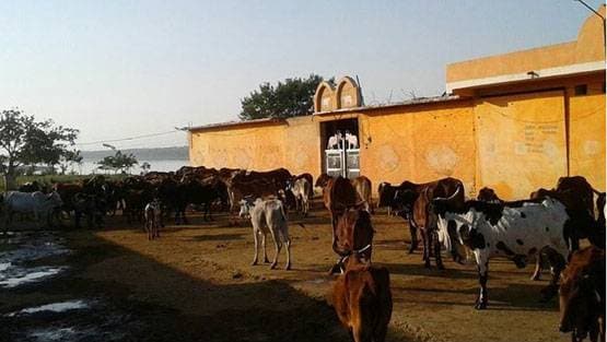 मौनी अमावस्या पर 3 ग्रहों की युति से बन रहा शुभ संयोग, उठाएं लाभ