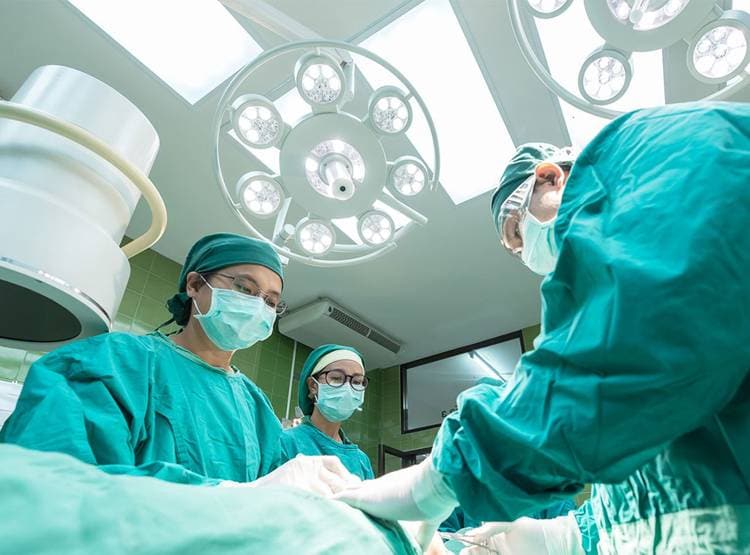 चमत्कार: बच्ची के लिवर में लगाईं गाय की नसें, ऐसे हुआ ट्रांसप्लांट