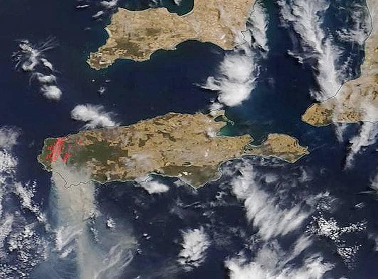 जल गया कंगारू आइलैंड, राख हो गए हरे-भरे जंगल, देखें पहले और अब की तस्वीरें