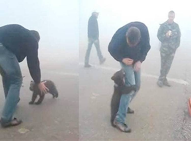 AUS: महाआग की 12 साल पहले हुई थी भविष्यवाणी, अब मच रही है तबाही