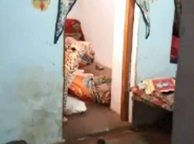 6 घंटे तक घर के अंदर घूमता रहा तेंदुआ,पड़ोस‍ियों की अटक गई सांसें