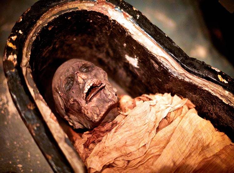 कॉफिन से आती थी Mummy की आवाज, वैज्ञानिकों ने किया रिकॉर्ड, आप भी सुनें...