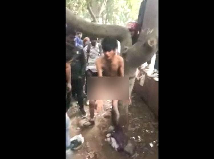 पेड़ से बांध कर क‍िया न‍िर्वस्त्र, लात-घूंसों से चोर का ब‍िगाड़ा हुल‍िया