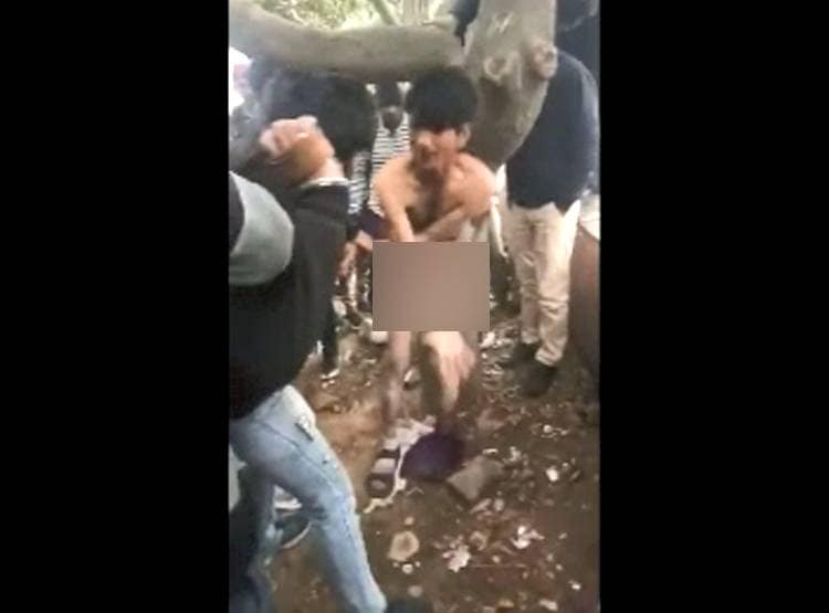 पेड़ से बांध कर क‍िया न‍िर्वस्त्र, लात-घूंसों से चोर का ब‍िगाड़ा हुल‍िया