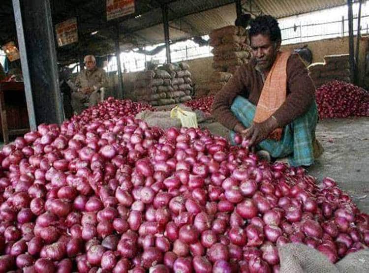 विदेशी प्याज 22 रुपये किलो में बेच रही सरकार, नहीं मिल रहा खरीदार