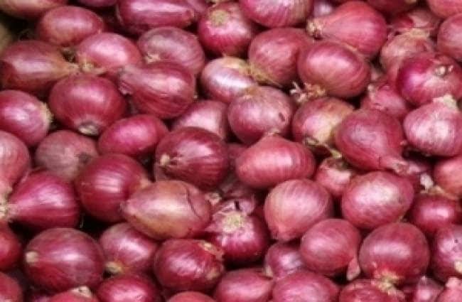 विदेशी प्याज 22 रुपये किलो में बेच रही सरकार, नहीं मिल रहा खरीदार