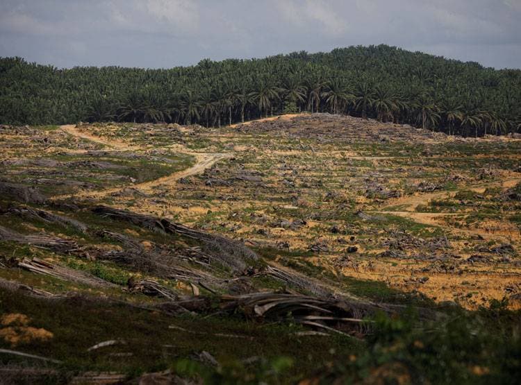 घिर गया मलेशिया, अब भारत से दोस्ती को बेताब, J-K और CAA का किया था विरोध