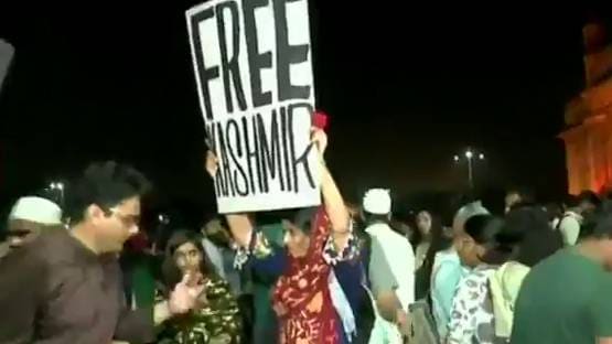 कौन है 'फ्री कश्मीर' पोस्टर वाली लड़की? विवाद पर दी सफाई