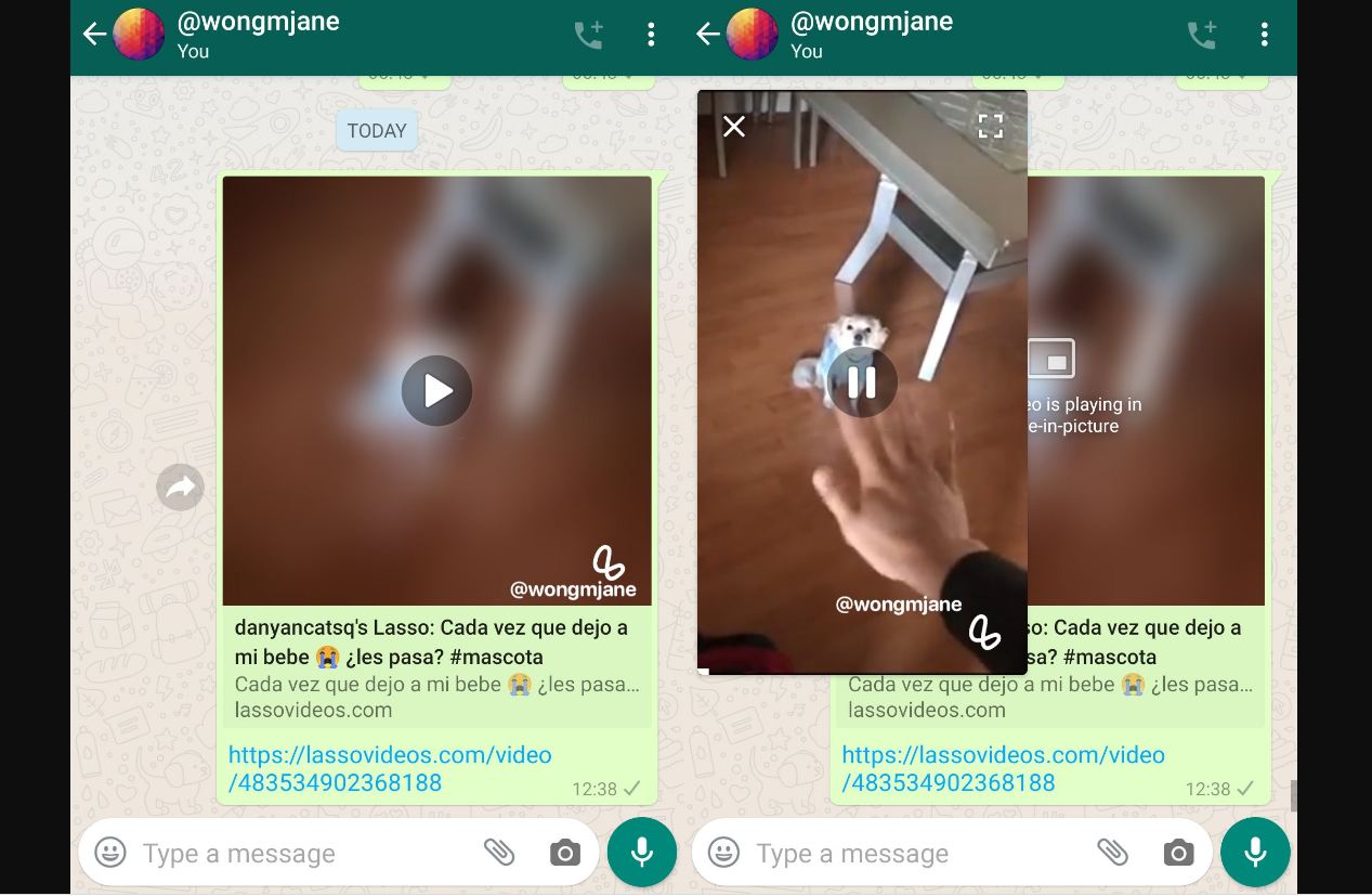 TikTok को भारत में टक्कर देने जल्द आ सकता है Lasso ऐप